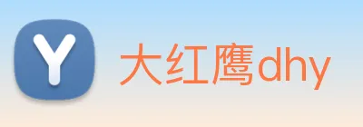 大红鹰dhy logo